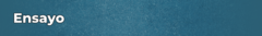 Banner de la categoría Ensayo