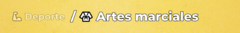Banner de la categoría Artes marciales