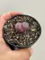 Lithops Optica Rubra - pote 7 (mudas como na segunda imagem) na internet
