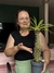 palmeira de madagascar pote 14 ( pachypodium lamerei)