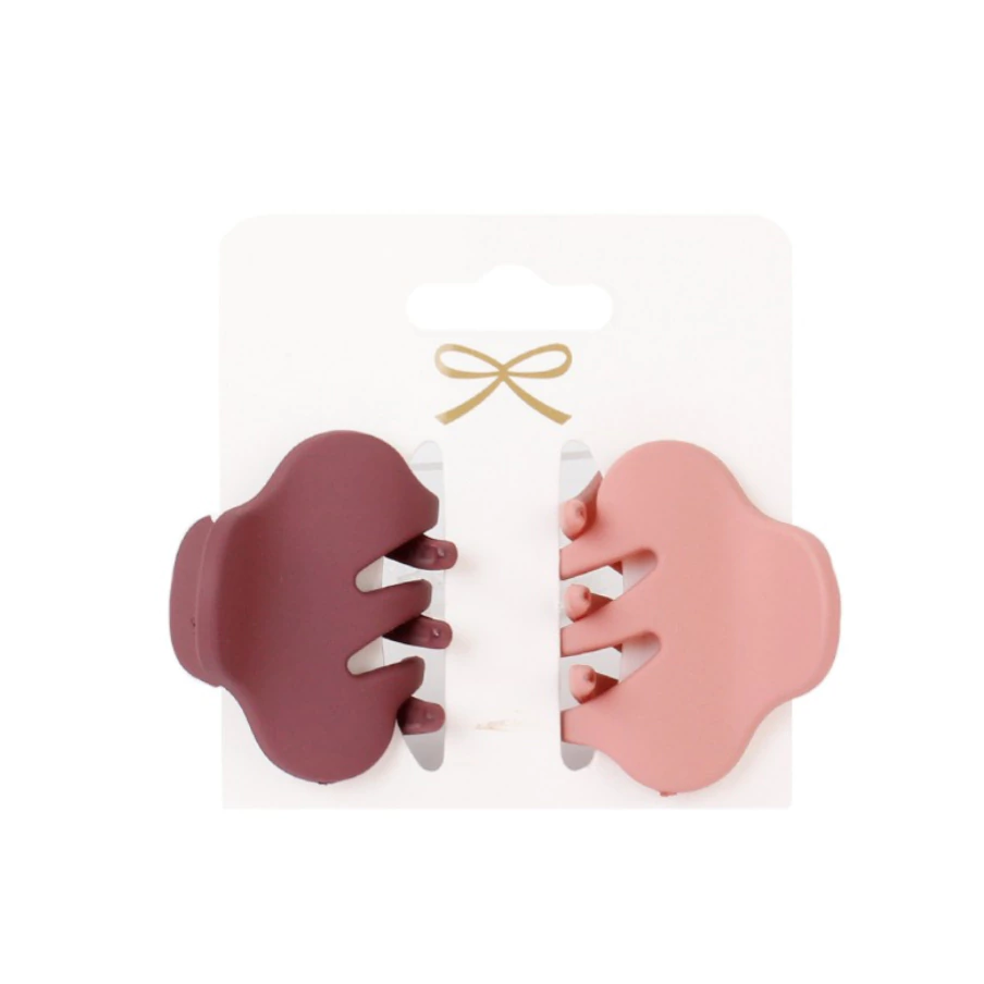 Set x2 Broches Claire