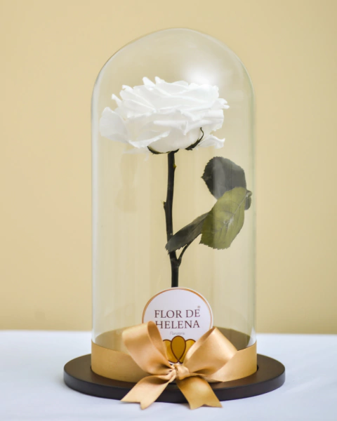 Rosa Preservada Blanca