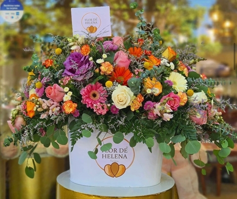 Bucket Flor de Helena