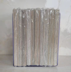 Zetsuen no tempest – o destruidor da civilização vol 1 ao 10 (completo) USADO - Benlopes Book Shop