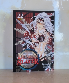 Demon Slayer - Kimetsu No Yaiba Vol. 22 - USADO