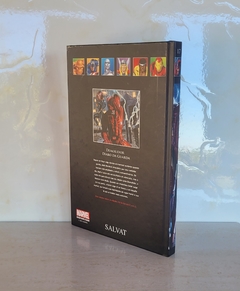 Demolidor: Diabo da Guarda (Coleção Oficial de Graphic Novels Marvel Salvat, n°17) - USADO - comprar online