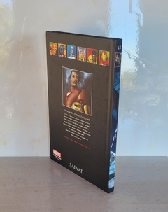Homem De Ferro - Extremis (Graphic Novels Marvel Salvat Ed. 43) - USADO - comprar online