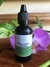 ÓLEO DE COPAÍBA 30ML - comprar online