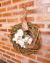 Guirlanda Rosas e Orquídeas - comprar online