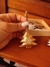 Pinheirinhos de Ferro com Guizo na internet