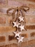 Penca de estrelas - comprar online