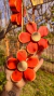 Penca de flores vermelhas - comprar online