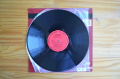 LP Frank Sinatra – Grandes Momentos - Rio Records