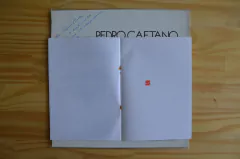 LP Pedro Caetano - Afinidades (1985) - Rio Records