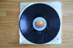 LP Beto Guedes – Amor De Índio (1978) na internet