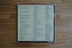 LP Milton Nascimento – O Planeta Blue Na Estrada Do Sol (1991) - Rio Records