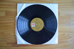 LP Carpenters – A Song For You (1972) na internet