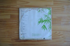 LP Marcos Ariel – Bambu (1981) - comprar online