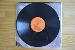 Imagem do LP Francisco Mario - Terra (1979)