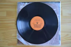 LP Francisco Mario - Terra (1979)