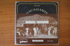 Imagem do LP Bacamarte - Depois Do Fim (1983)