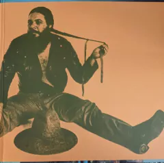 LP Dom Mita - Mita 1977 (2022) na internet