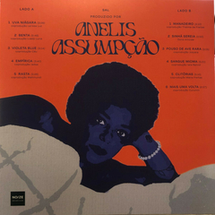 LP Anelis Assumpção – Sal (2023) - comprar online