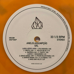 LP Anelis Assumpção – Sal (2023) - Rio Records