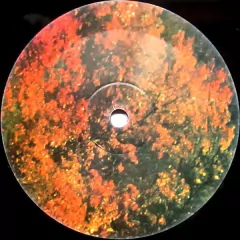 LP Tame Impala - Innerspeaker (2014) - loja online