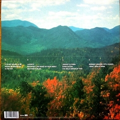 LP Tame Impala - Innerspeaker (2014) - comprar online