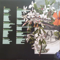 LP Criolo – Convoque Seu Buda (2015) - Rio Records