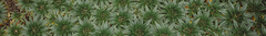 Banner de la categoría Hidratación Facial