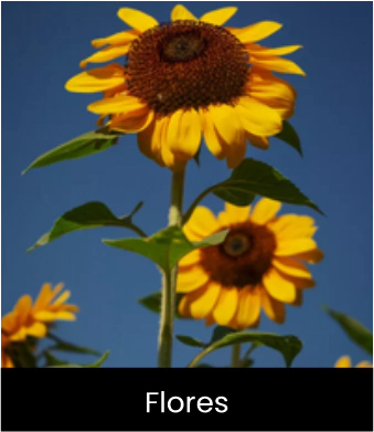 Marca 7 de Tendecor Decorações