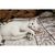 BRINQUEDO CHUNKY ZOOGHY - comprar online
