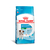 Ração Royal Canin Mini Puppy Cães Filhotes Porte Pequeno 1Kg