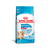 Ração Royal Canin Mini Indoor para Cães Filhotes Porte Pequeno 1KG