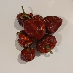 Pimiento Ñora