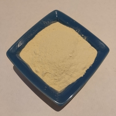 Cebolla en Polvo
