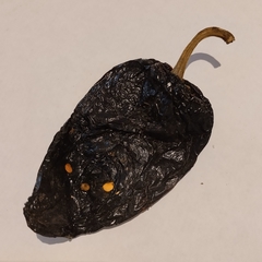 Chile Ancho