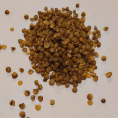Lenteja Crocante