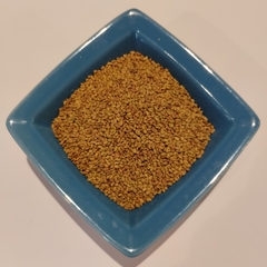 Alfalfa para germinar