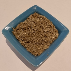 Salvia