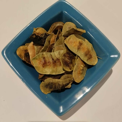 Hojas de Acacia