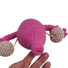 Útero Didático na internet