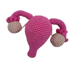 Útero Didático - comprar online