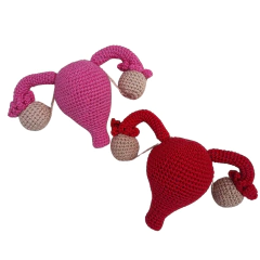 Útero Didático