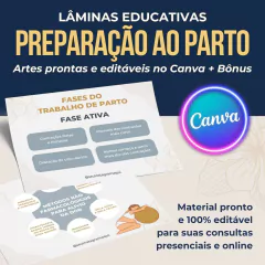 50 Lâminas Educativas Preparação para o Parto na internet