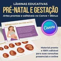50 Lâminas educativas Pré Natal e Gestação - loja online