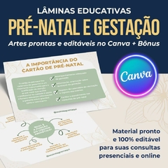 50 Lâminas educativas Pré Natal e Gestação - comprar online