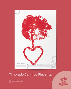Imagem do Kit de Artes de Apoio para Obstetrícia